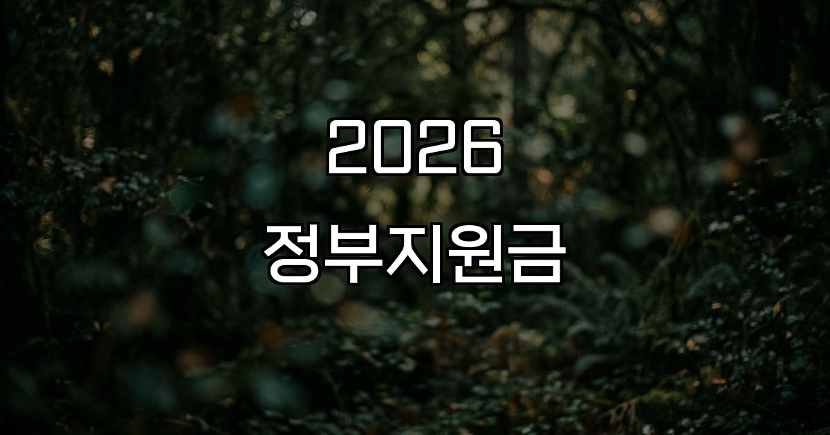 2026 정부지원금 소득 하위 70% 민생지원금 복지 정책